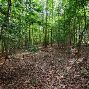 Photo #39 of 2425 Jolly Pond Road, Williamsburg, Virginia 15.5 acres