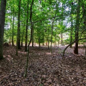 Photo #40 of 2425 Jolly Pond Road, Williamsburg, Virginia 15.5 acres