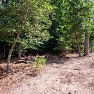 Photo #41 of 2425 Jolly Pond Road, Williamsburg, Virginia 15.5 acres
