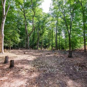 Photo #44 of 2425 Jolly Pond Road, Williamsburg, Virginia 15.5 acres