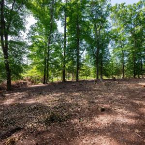 Photo #45 of 2425 Jolly Pond Road, Williamsburg, Virginia 15.5 acres