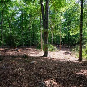 Photo #46 of 2425 Jolly Pond Road, Williamsburg, Virginia 15.5 acres