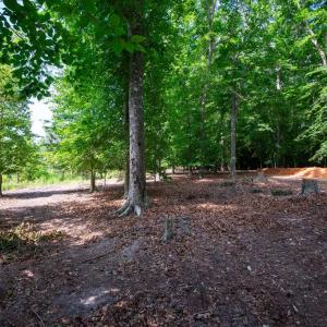 Photo #47 of 2425 Jolly Pond Road, Williamsburg, Virginia 15.5 acres