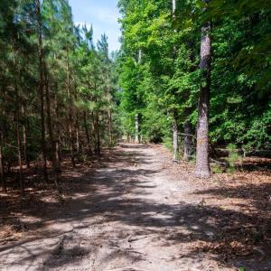 Photo #48 of 2425 Jolly Pond Road, Williamsburg, Virginia 15.5 acres
