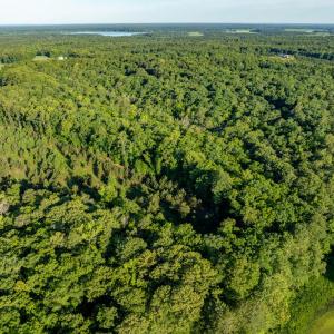 Photo #6 of 2425 Jolly Pond Road, Williamsburg, Virginia 15.5 acres