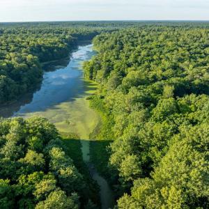 Photo #7 of 2425 Jolly Pond Road, Williamsburg, Virginia 15.5 acres
