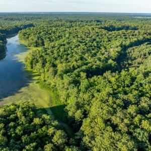 Photo #8 of 2425 Jolly Pond Road, Williamsburg, Virginia 15.5 acres