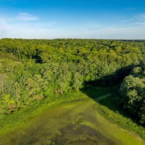 Photo #9 of 2425 Jolly Pond Road, Williamsburg, Virginia 15.5 acres
