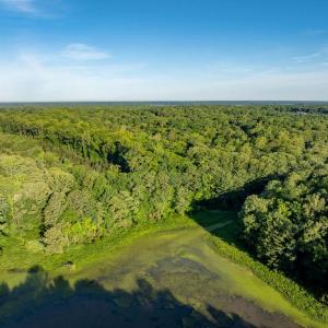 Photo #10 of 2425 Jolly Pond Road, Williamsburg, Virginia 15.5 acres