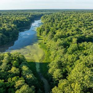 Photo #2 of 2425 Jolly Pond Road, Williamsburg, Virginia 15.5 acres
