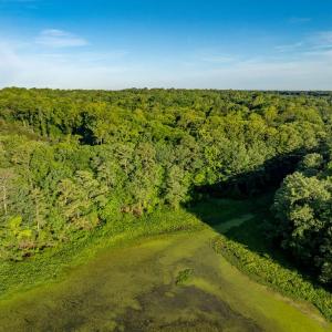 Photo #3 of 2425 Jolly Pond Road, Williamsburg, Virginia 15.5 acres