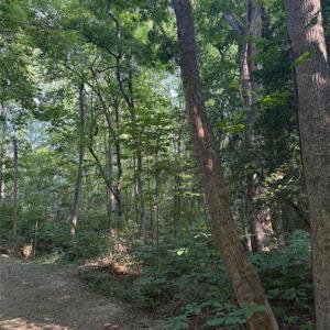 Photo #5 of 1.27ac Ware Street, Gloucester, Virginia 1.3 acres