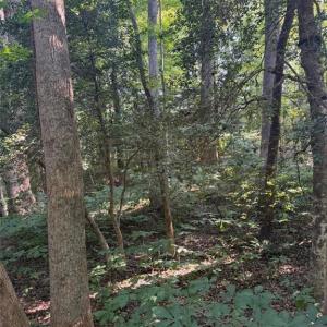Photo #6 of 1.27ac Ware Street, Gloucester, Virginia 1.3 acres