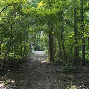 Photo #7 of 1.27ac Ware Street, Gloucester, Virginia 1.3 acres