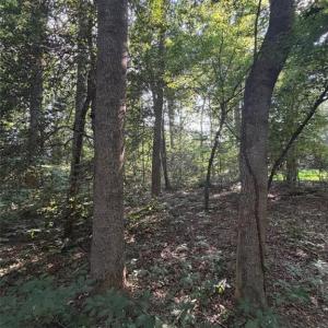 Photo #8 of 1.27ac Ware Street, Gloucester, Virginia 1.3 acres