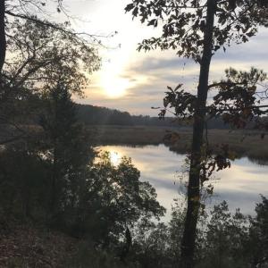 Photo #2 of 2561 Fort Huger Drive, Smithfield, Virginia 3.0 acres