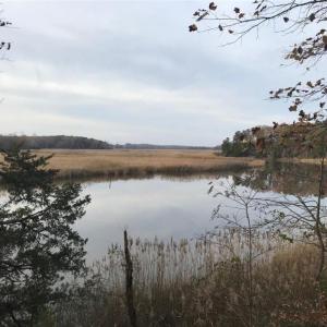 Photo #3 of 2561 Fort Huger Drive, Smithfield, Virginia 3.0 acres