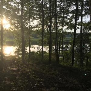 Photo #4 of 2561 Fort Huger Drive, Smithfield, Virginia 3.0 acres