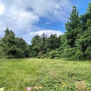 Photo #2 of 2650 Benefit Road, Chesapeake, Virginia 55.0 acres