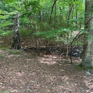 Photo #14 of 917 Lacon Drive, Newport News, Virginia 0.9 acres