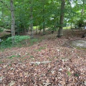 Photo #3 of 917 Lacon Drive, Newport News, Virginia 0.9 acres