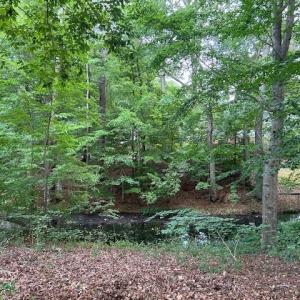 Photo #6 of 917 Lacon Drive, Newport News, Virginia 0.9 acres
