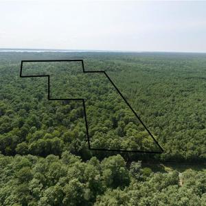 Photo #1 of 27+ AC Low Ground Road, Hayes, Virginia 27.3 acres