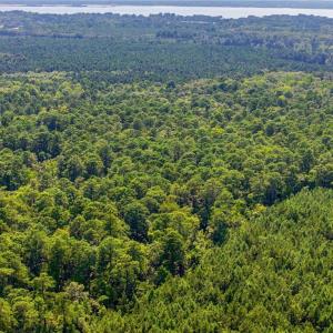 Photo #11 of 27+ AC Low Ground Road, Hayes, Virginia 27.3 acres