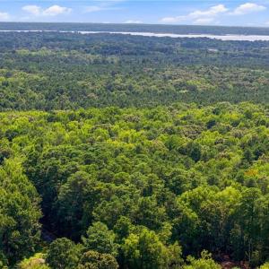 Photo #12 of 27+ AC Low Ground Road, Hayes, Virginia 27.3 acres