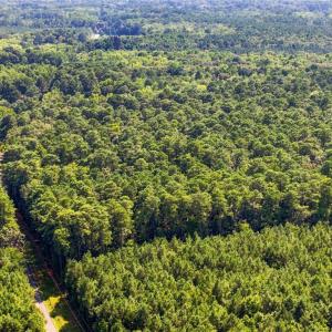 Photo #14 of 27+ AC Low Ground Road, Hayes, Virginia 27.3 acres