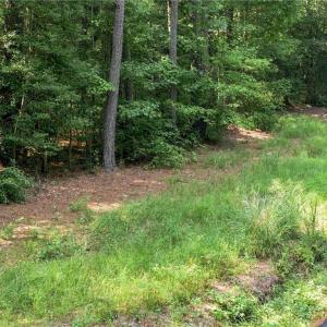 Photo #16 of 27+ AC Low Ground Road, Hayes, Virginia 27.3 acres
