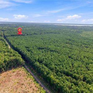 Photo #3 of 27+ AC Low Ground Road, Hayes, Virginia 27.3 acres