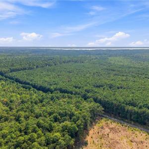 Photo #5 of 27+ AC Low Ground Road, Hayes, Virginia 27.3 acres