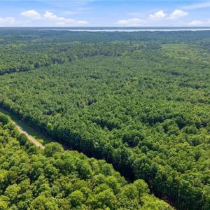 Photo #6 of 27+ AC Low Ground Road, Hayes, Virginia 27.3 acres
