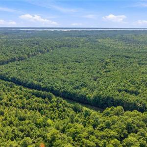 Photo #7 of 27+ AC Low Ground Road, Hayes, Virginia 27.3 acres