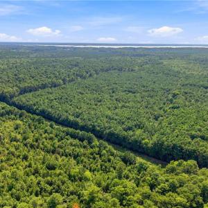 Photo #8 of 27+ AC Low Ground Road, Hayes, Virginia 27.3 acres