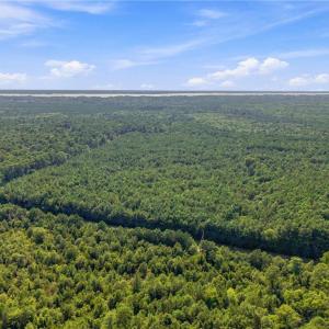 Photo #9 of 27+ AC Low Ground Road, Hayes, Virginia 27.3 acres