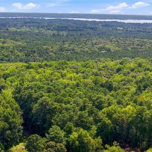 Photo #12 of 27+ AC Low Ground Road, Hayes, Virginia 27.3 acres