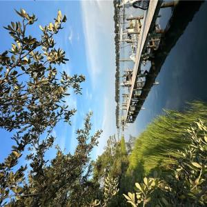 Photo #5 of 9505 7th Bay Street, Norfolk, Virginia 0.3 acres