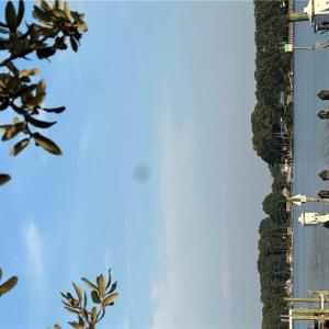 Photo #7 of 9505 7th Bay Street, Norfolk, Virginia 0.3 acres