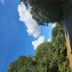 Savannah Dr View