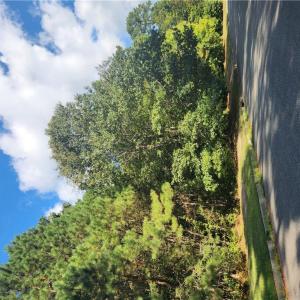 3912 Savannah Dr Lot