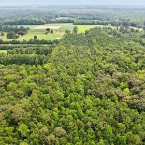 Photo #11 of 9.37AC Douglas Road, Chesapeake, Virginia 9.4 acres