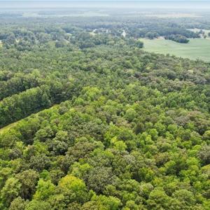 Photo #12 of 9.37AC Douglas Road, Chesapeake, Virginia 9.4 acres