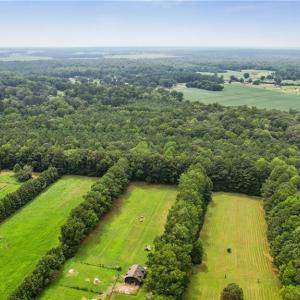 Photo #13 of 9.37AC Douglas Road, Chesapeake, Virginia 9.4 acres