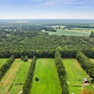 Photo #14 of 9.37AC Douglas Road, Chesapeake, Virginia 9.4 acres