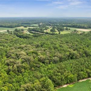 Photo #19 of 9.37AC Douglas Road, Chesapeake, Virginia 9.4 acres
