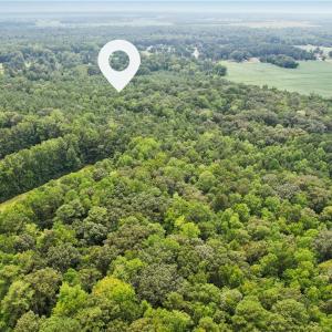 Photo #21 of 9.37AC Douglas Road, Chesapeake, Virginia 9.4 acres