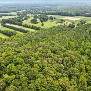 Photo #10 of 9.37AC Douglas Road, Chesapeake, Virginia 9.4 acres