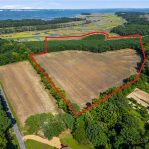 Photo #2 of 55 Ac  Vellines Lane, Carrollton, Virginia 55.5 acres